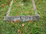 image of grave number 204152